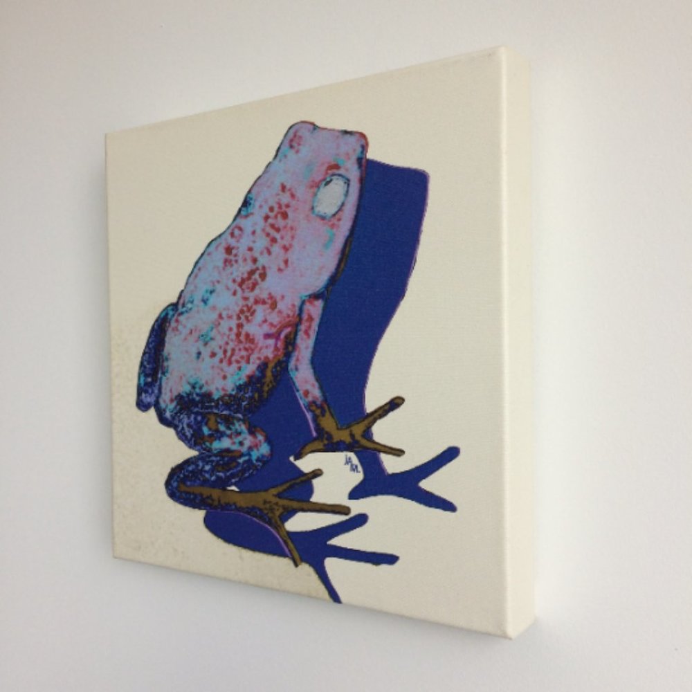 Frog - Original Wall Art print on 12 x 12 canvas - Picture 3 of 6
